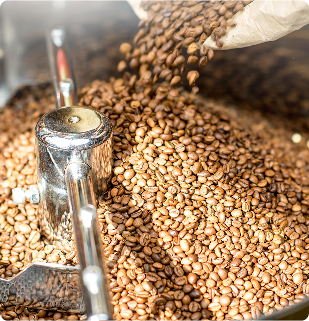 Pourquoi connaître l’origine de votre café change tout